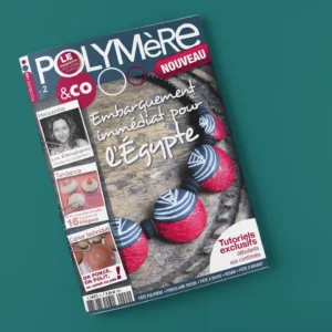 Polymere and co n°2 couverture