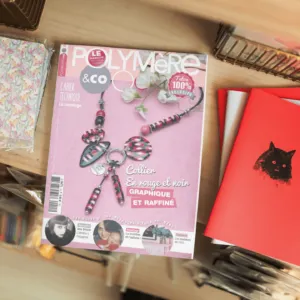 Polymere and co n°14 couverture