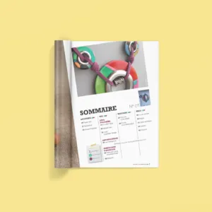 Polymere and co n°1 sommaire