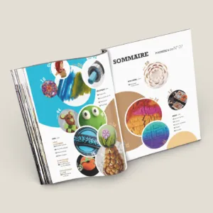 Polymere and co n°7 sommaire