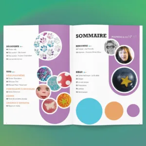 Polymere and co n°11 sommaire