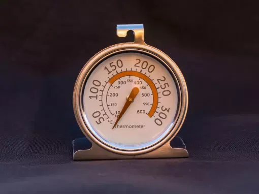 Thermomètre de four sur pied idéal pour la cuisson de l'argile polymère